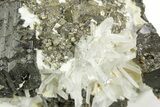 Gleaming Cubic Pyrite Crystals and Quartz on Sphalerite - Peru #369837-1